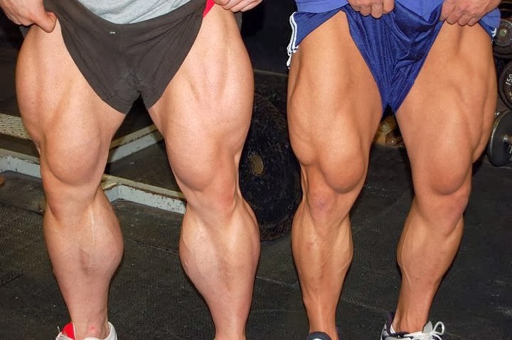 how to build leg muscle